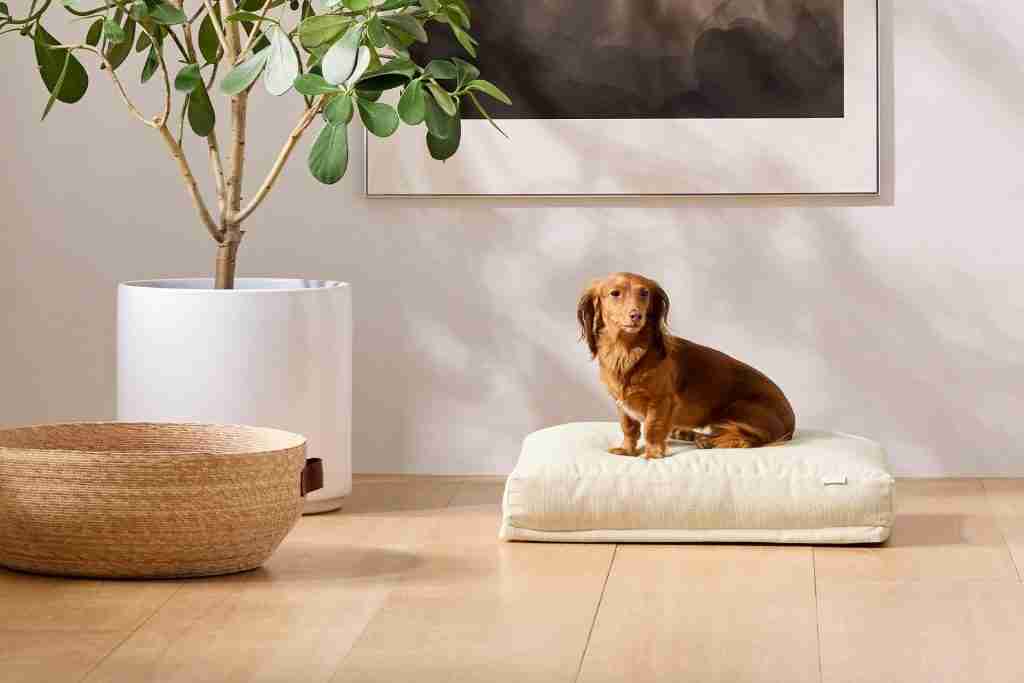 dog bed front model small 3 2