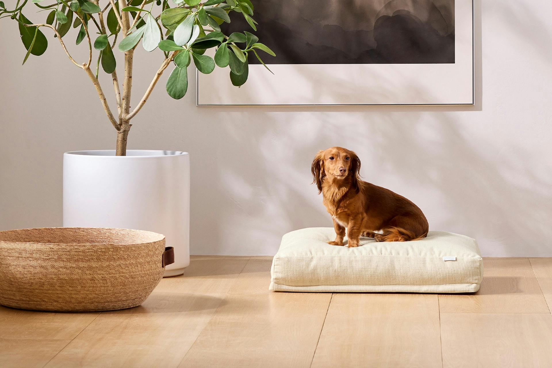dog bed front model small 3 2