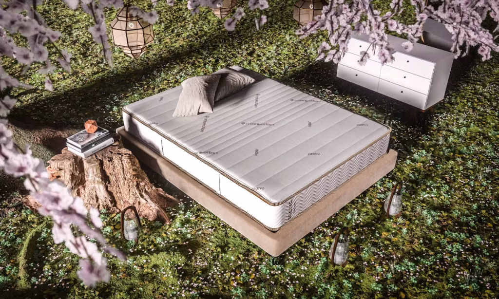 ZyOv0K8jQArT0F3e EnvironmentOutdoorForestZenhaven Top