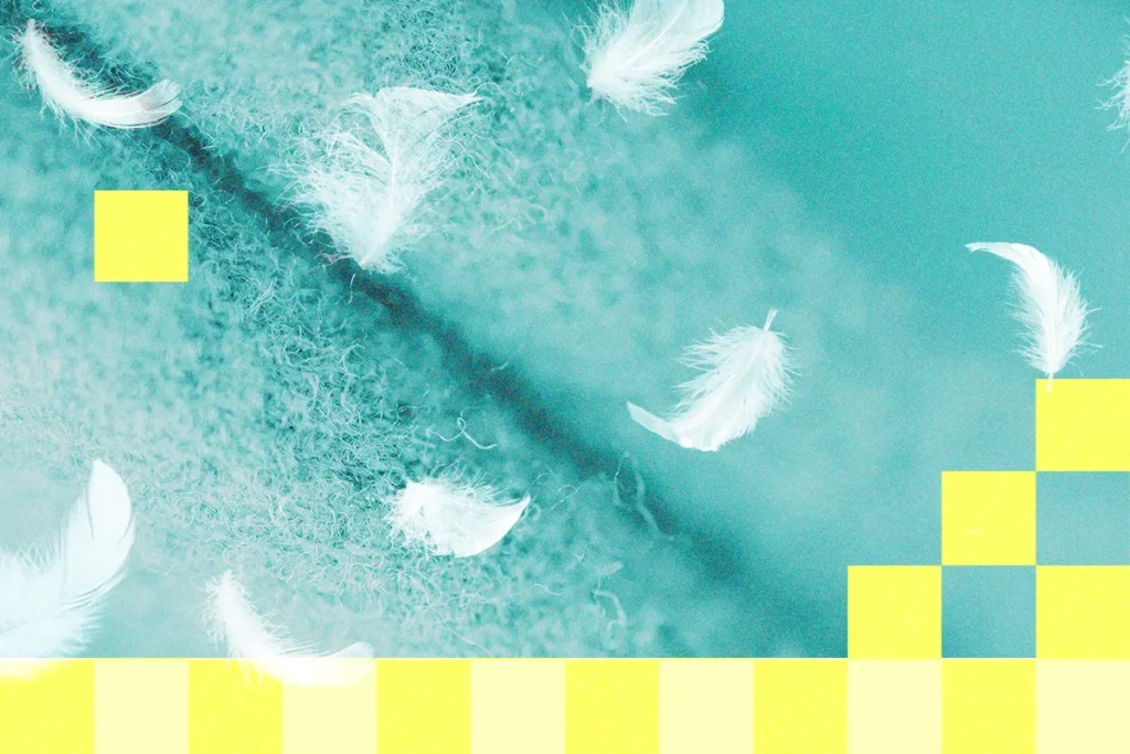 What Is Down Alternative and Who Should Buy It